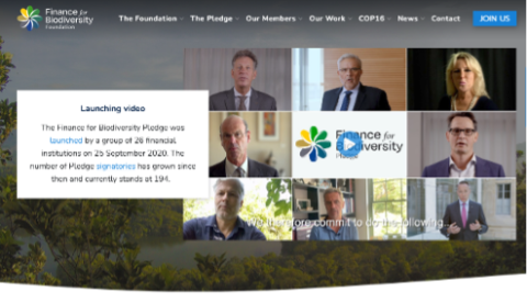 The Finance for Biodiversity Foundation, About the Pledge page.